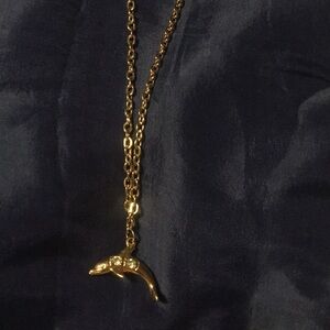 🐬Dolphin charm necklace🐬